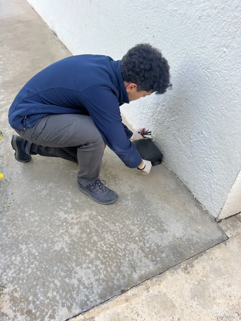 Plagastudio Control de Plagas en Alicante