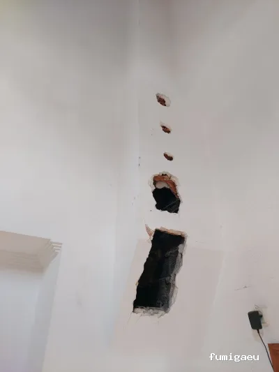 QKSur - Control de plagas