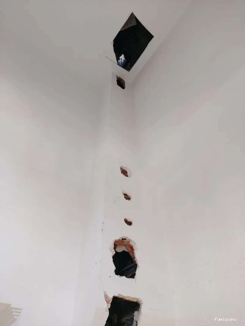 QKSur - Control de plagas