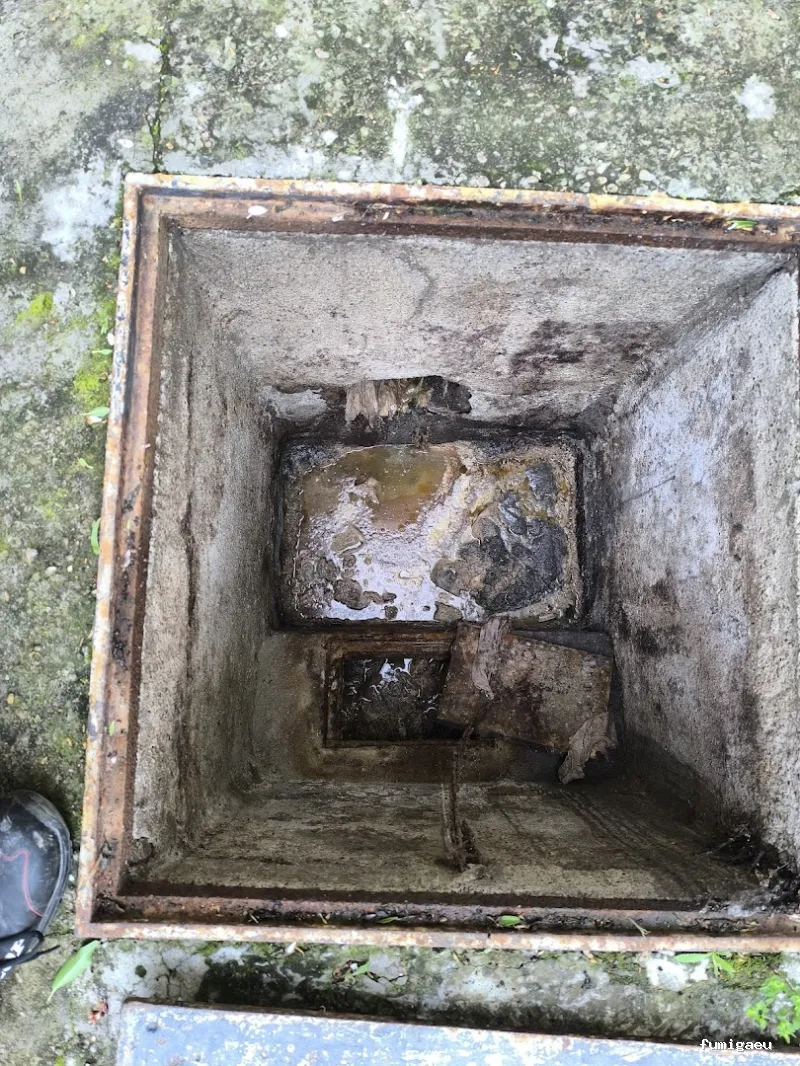 MG Mantenimientos Desatascos y Control de Plagas, S.L.