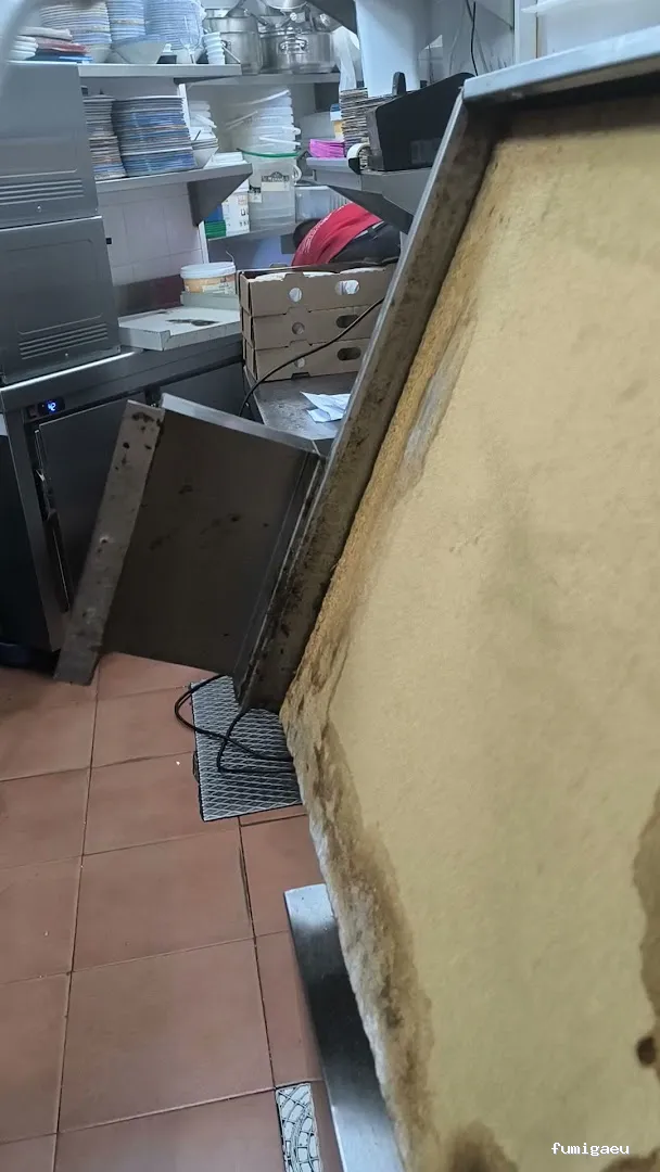 MG Mantenimientos Desatascos y Control de Plagas, S.L.