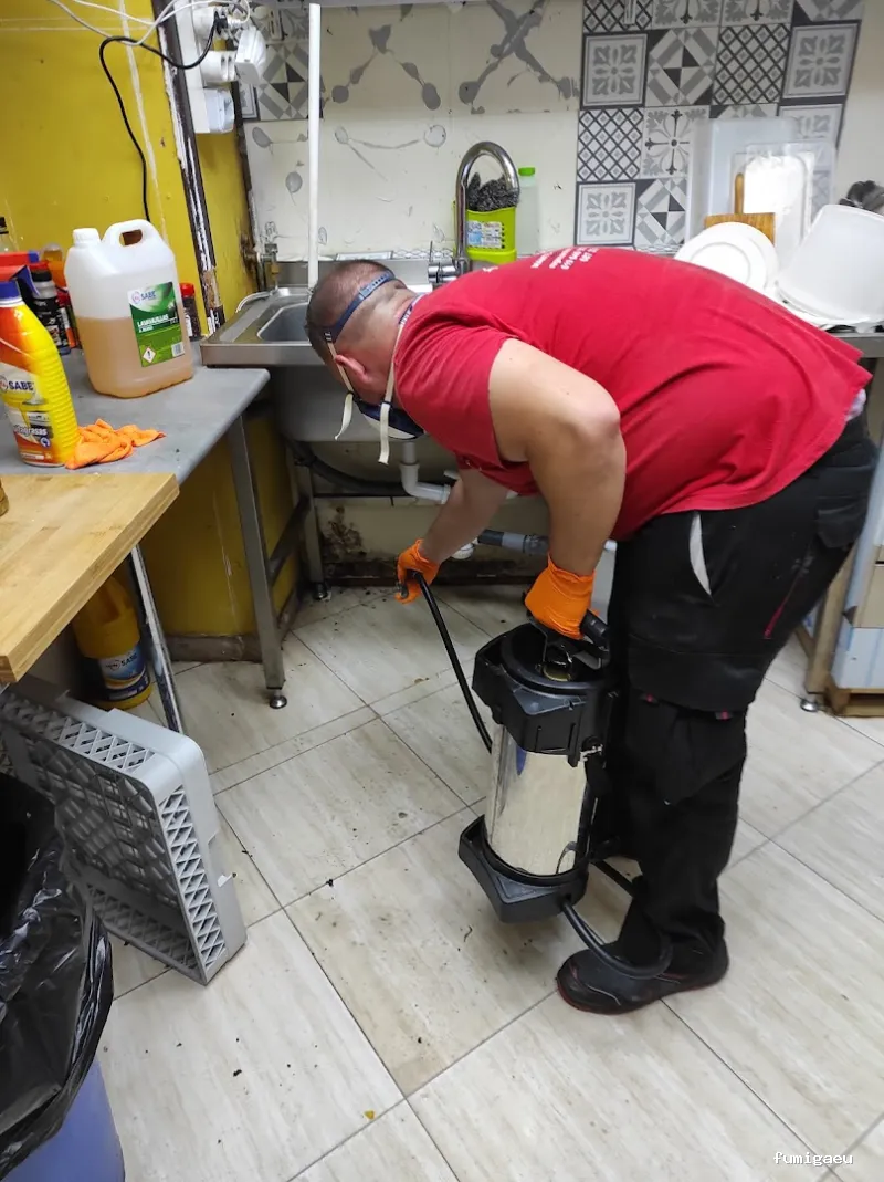 MG Mantenimientos Desatascos y Control de Plagas, S.L.