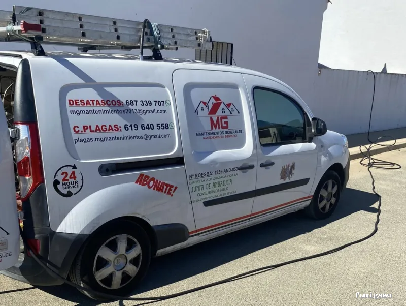 MG Mantenimientos Desatascos y Control de Plagas, S.L.