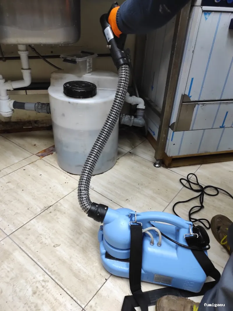 MG Mantenimientos Desatascos y Control de Plagas, S.L.