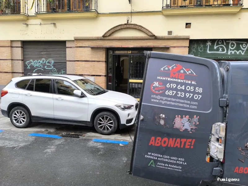MG Mantenimientos Desatascos y Control de Plagas, S.L.