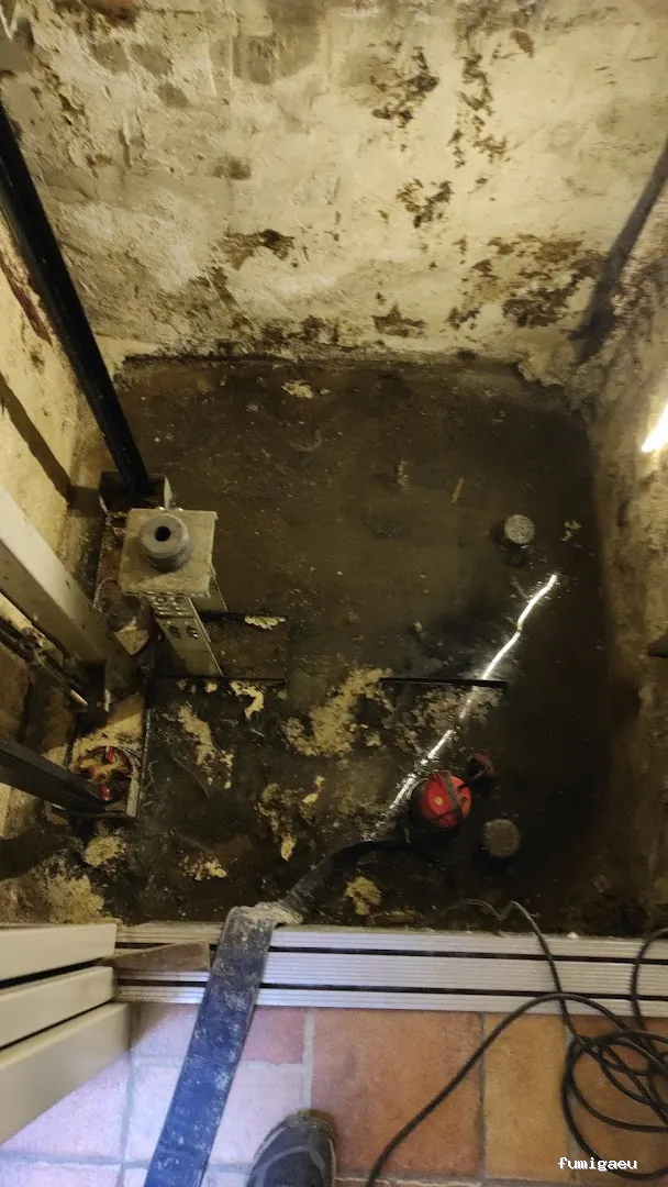 MG Mantenimientos Desatascos y Control de Plagas, S.L.