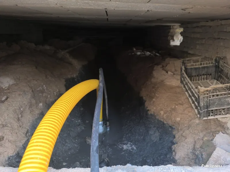 MG Mantenimientos Desatascos y Control de Plagas, S.L.