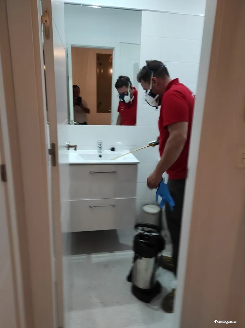 MG Mantenimientos Desatascos y Control de Plagas, S.L.