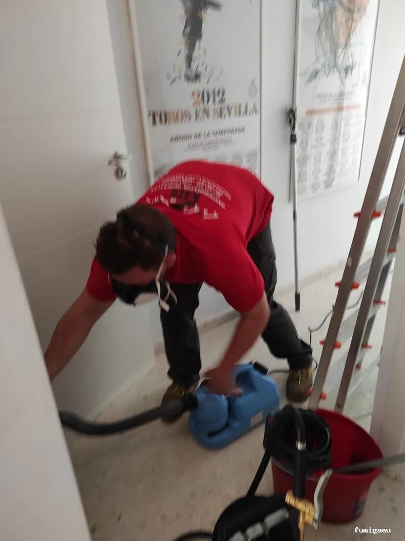 MG Mantenimientos Desatascos y Control de Plagas, S.L.