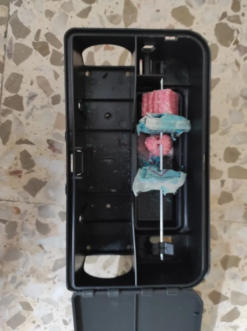 MG Mantenimientos Desatascos y Control de Plagas, S.L.