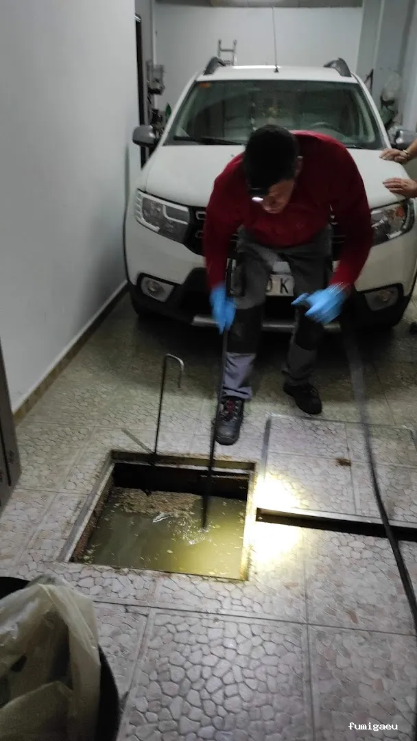 MG Mantenimientos Desatascos y Control de Plagas, S.L.