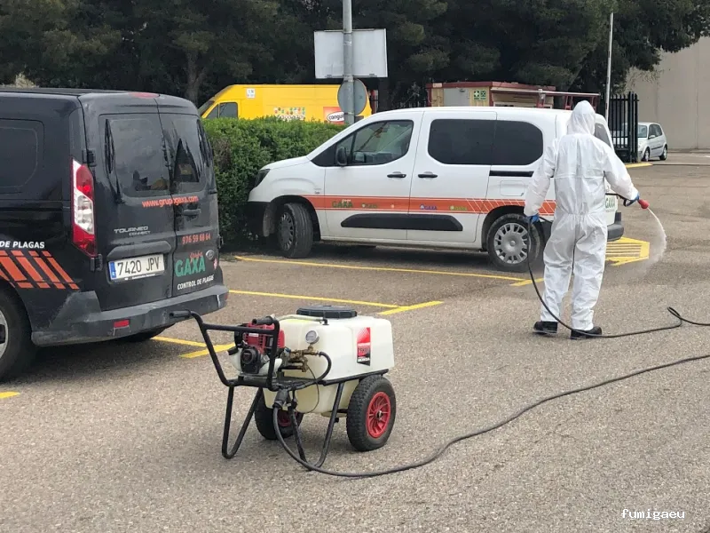 Grupo Gaxa 2013 S.L.