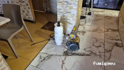 Prokill control de plagas