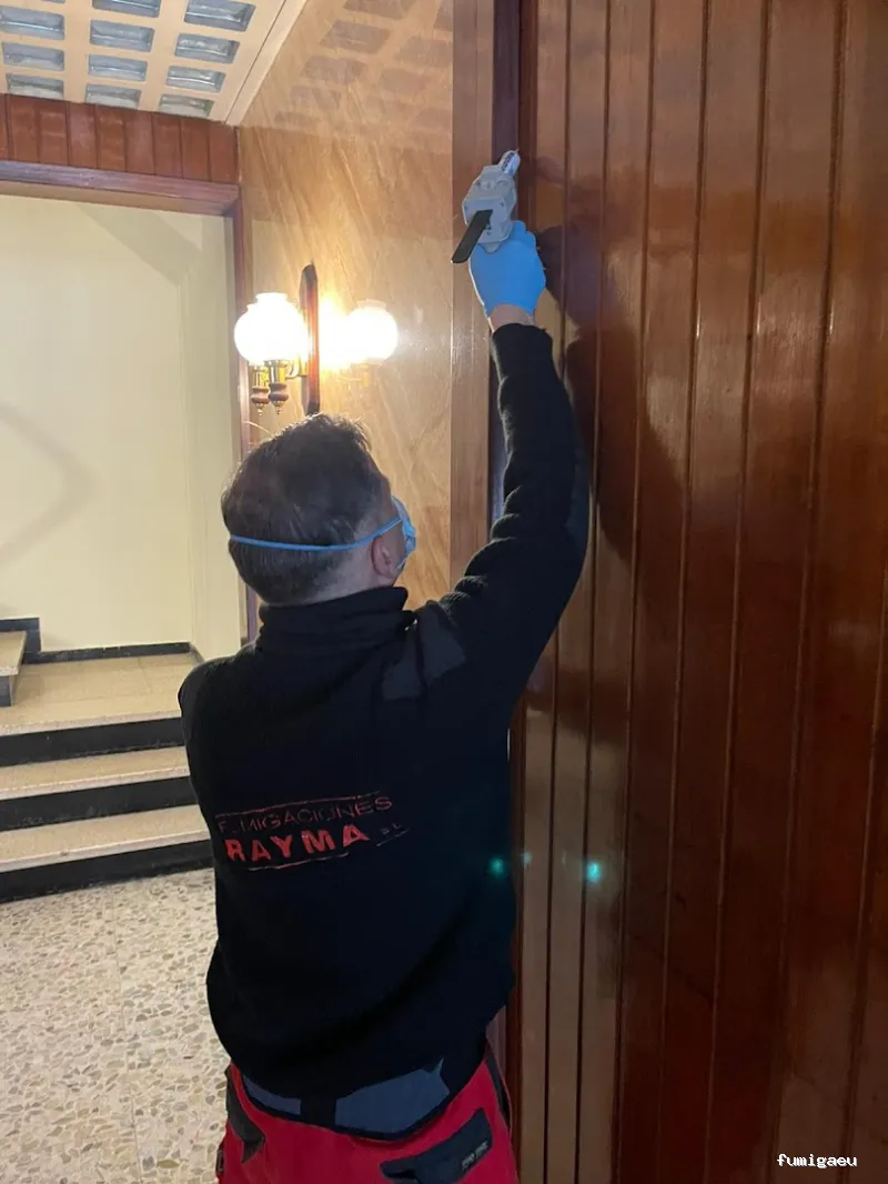 Fumigaciones Rayma S L