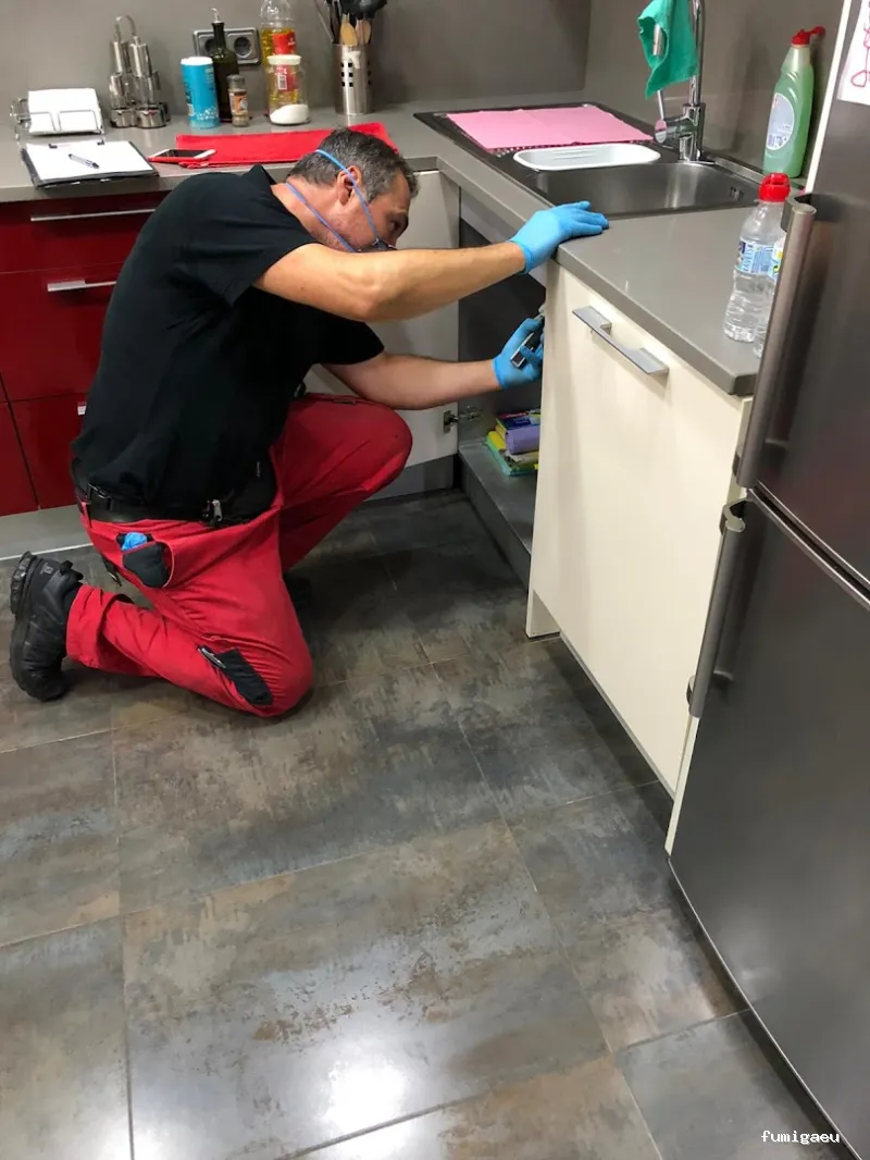 Fumigaciones Rayma S L