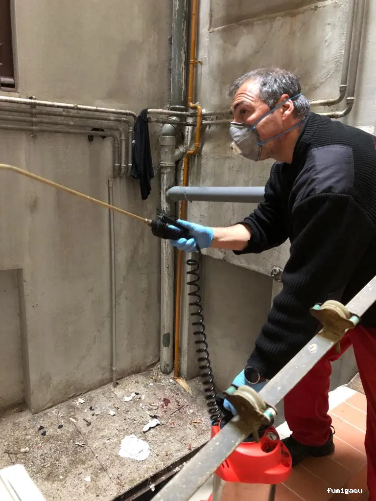 Fumigaciones Rayma S L