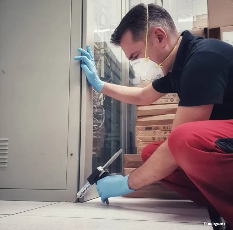 Fumigaciones Rayma S L