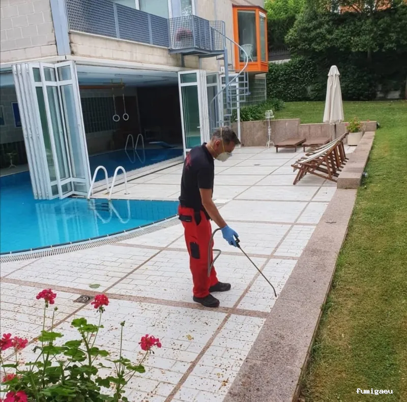 Fumigaciones Rayma S L