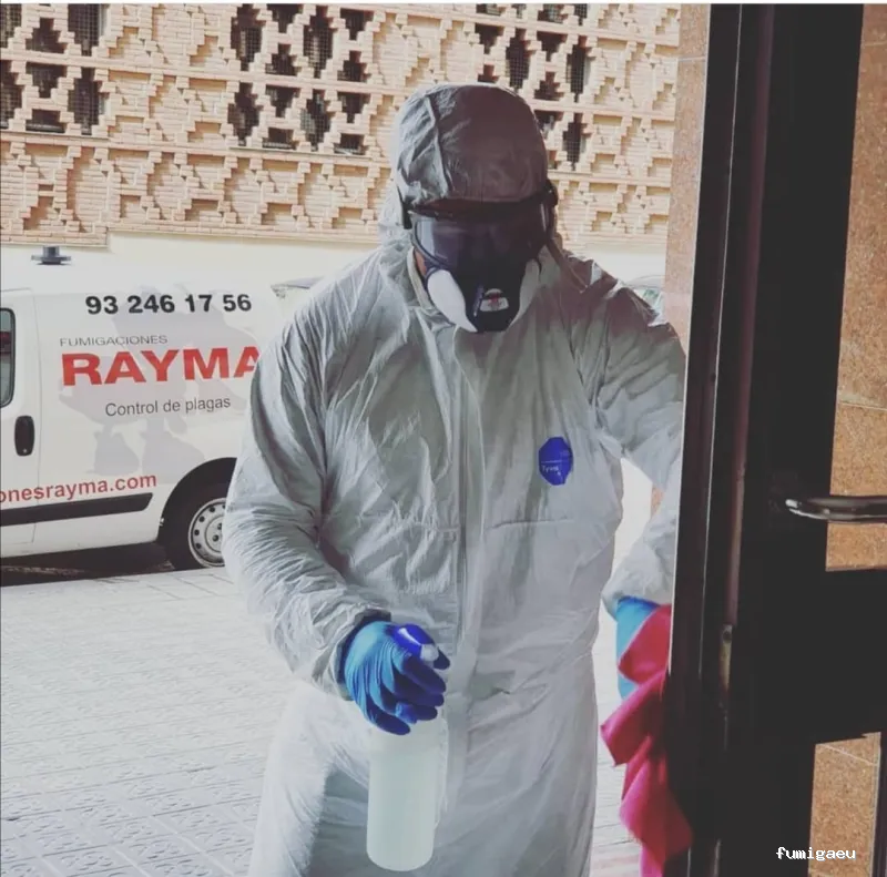 Fumigaciones Rayma S L