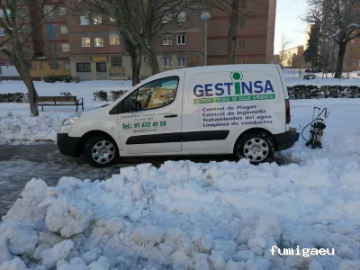 Gestinsa