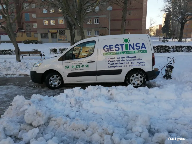 Gestinsa