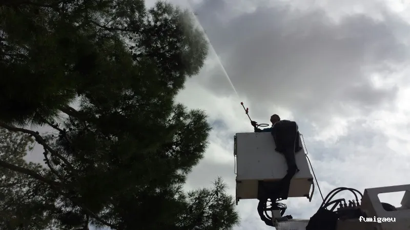 Control de Plagas Ambiente Limpio