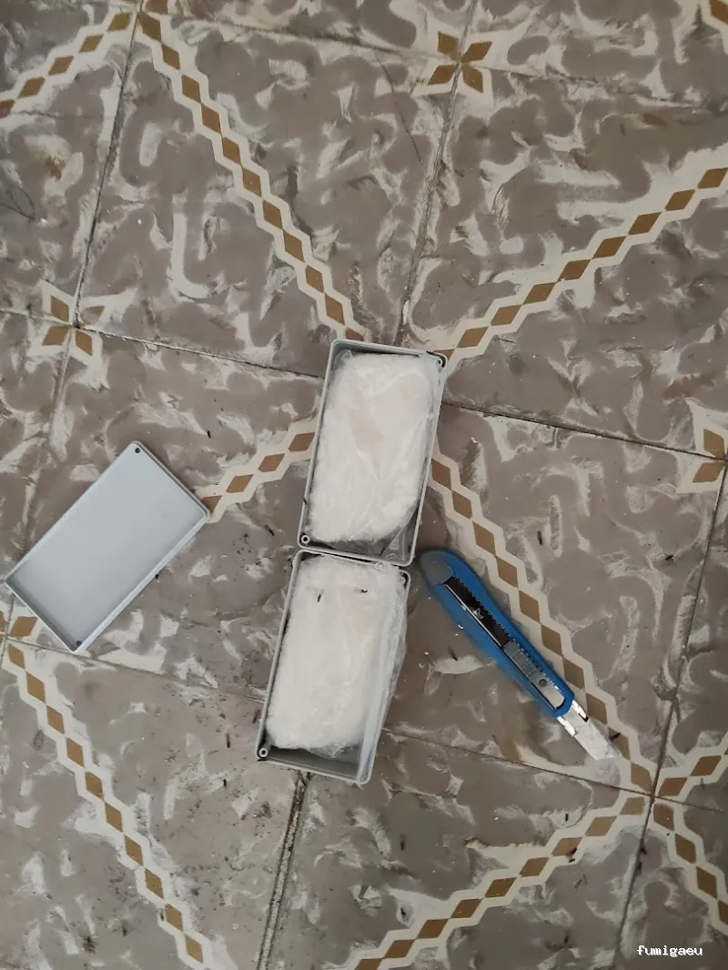 Control de Plagas Ambiente Limpio