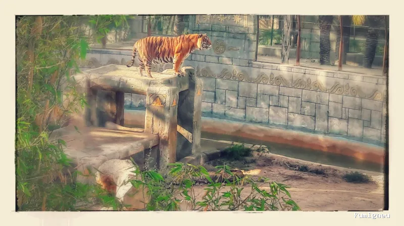 Control de Plagas Ambiente Limpio