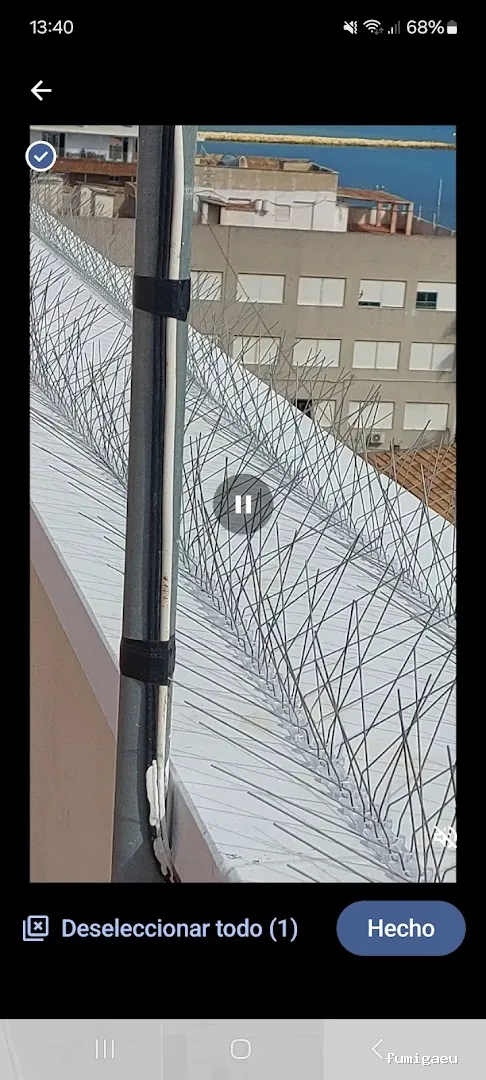 Control de Plagas Ambiente Limpio