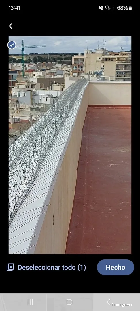 Control de Plagas Ambiente Limpio