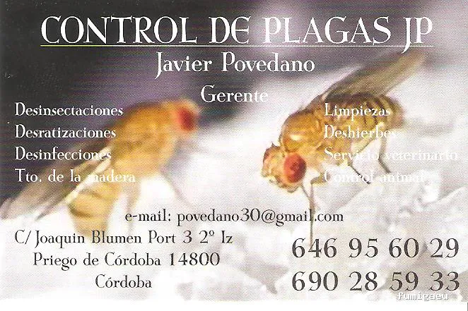 Control de Plagas JP