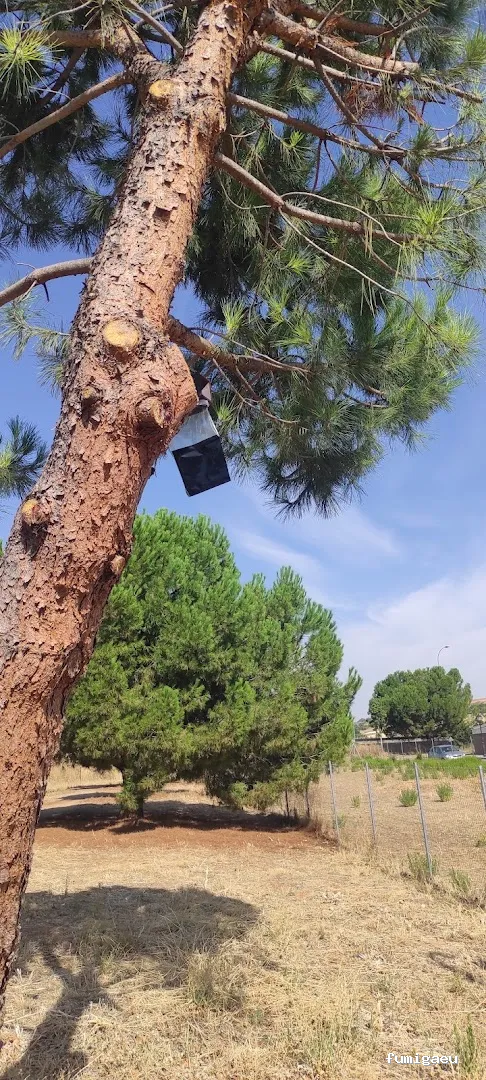 JGM SANIDAD AMBIENTAL