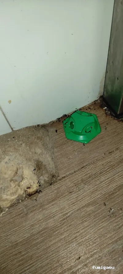 JGM SANIDAD AMBIENTAL