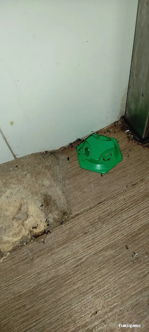 JGM SANIDAD AMBIENTAL