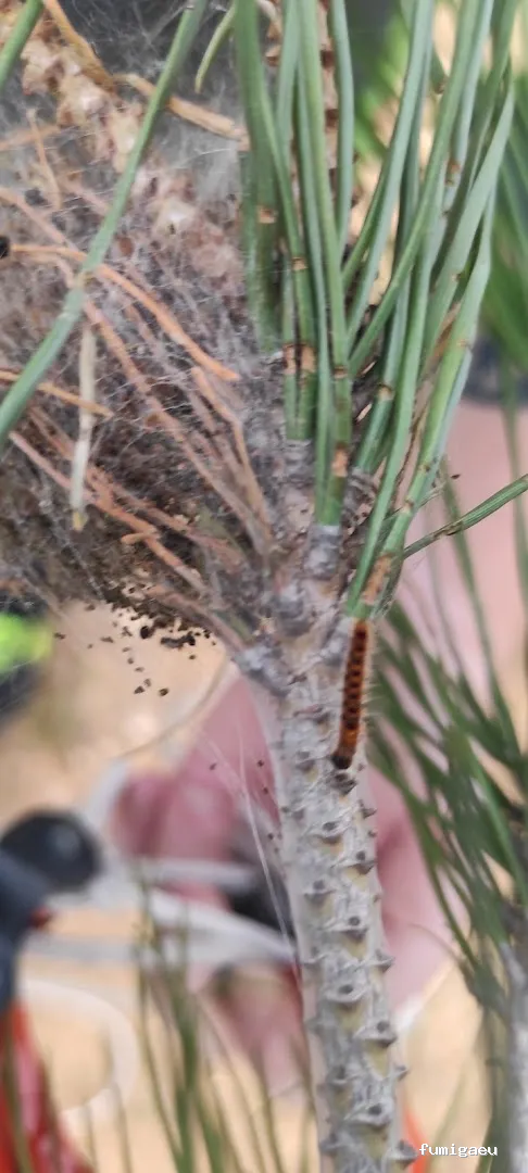 JGM SANIDAD AMBIENTAL