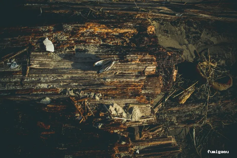 JGM SANIDAD AMBIENTAL