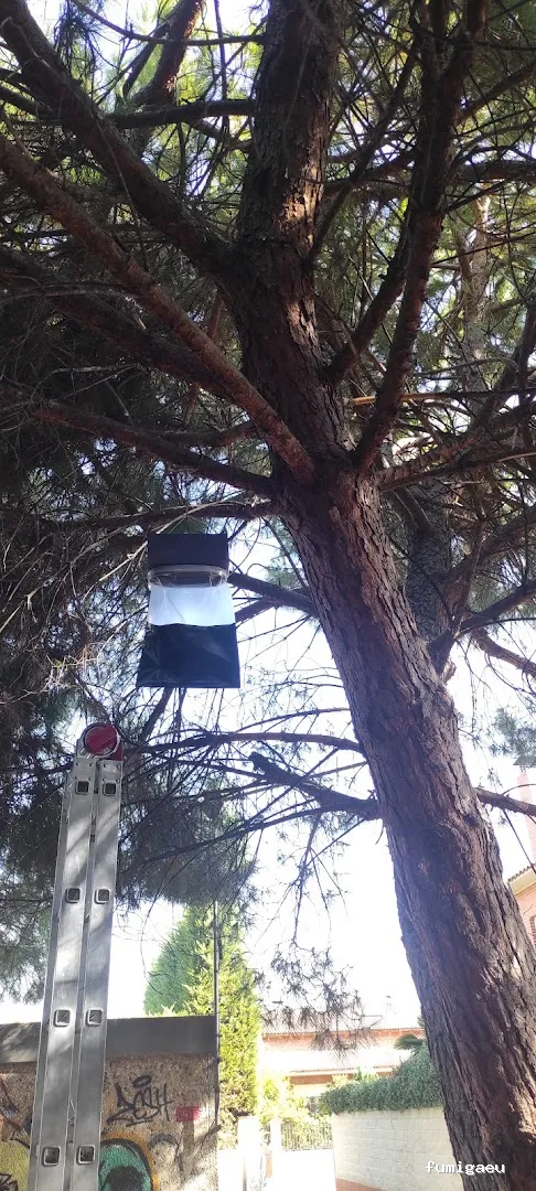 JGM SANIDAD AMBIENTAL