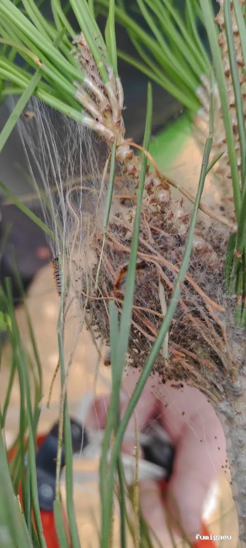 JGM SANIDAD AMBIENTAL