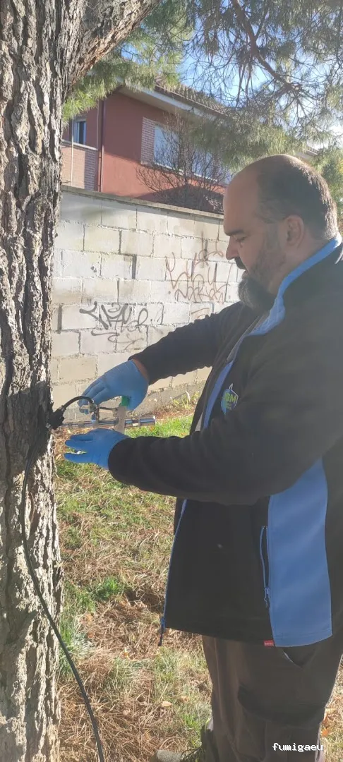 JGM SANIDAD AMBIENTAL