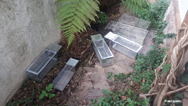 NETAR Higiene Ambiental