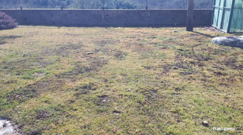 NETAR Higiene Ambiental