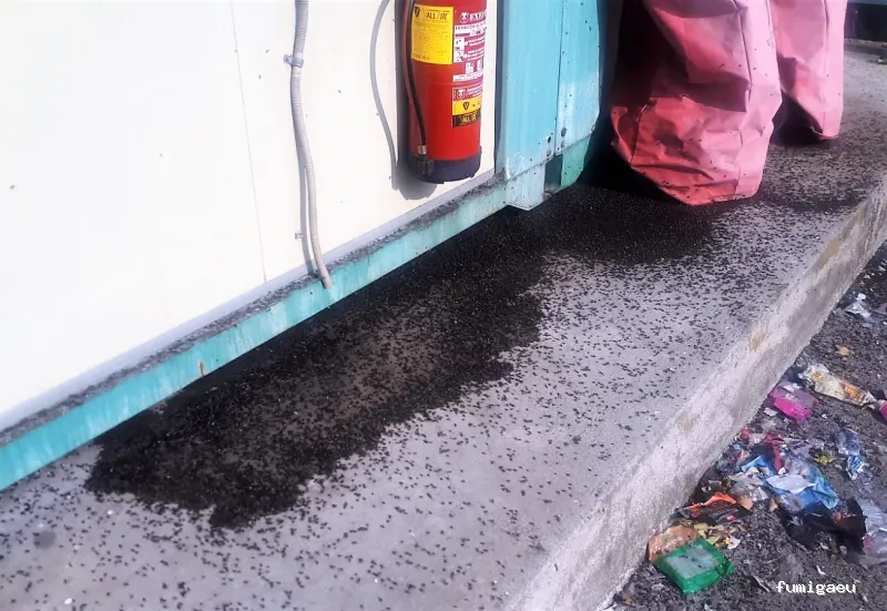 NETAR Higiene Ambiental