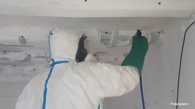 NETAR Higiene Ambiental