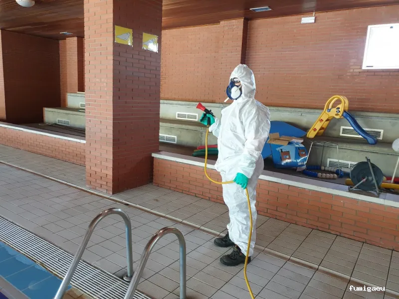 Bichos Control De Plagas