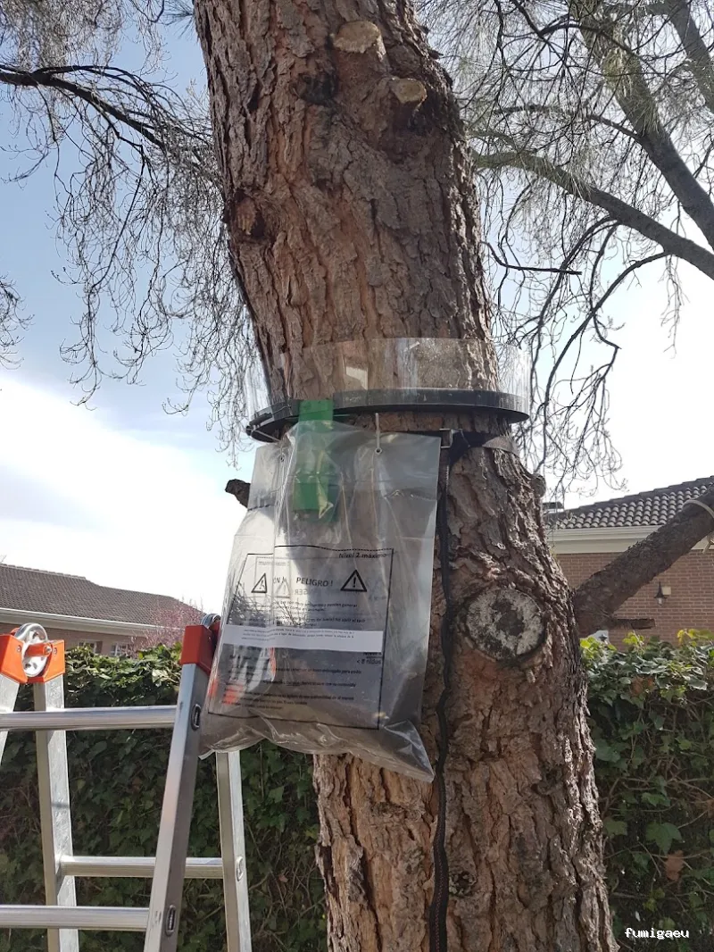 Bichos Control De Plagas