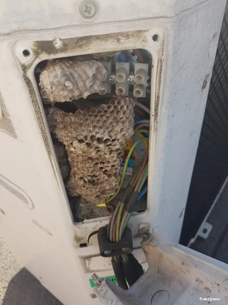 Bichos Control De Plagas