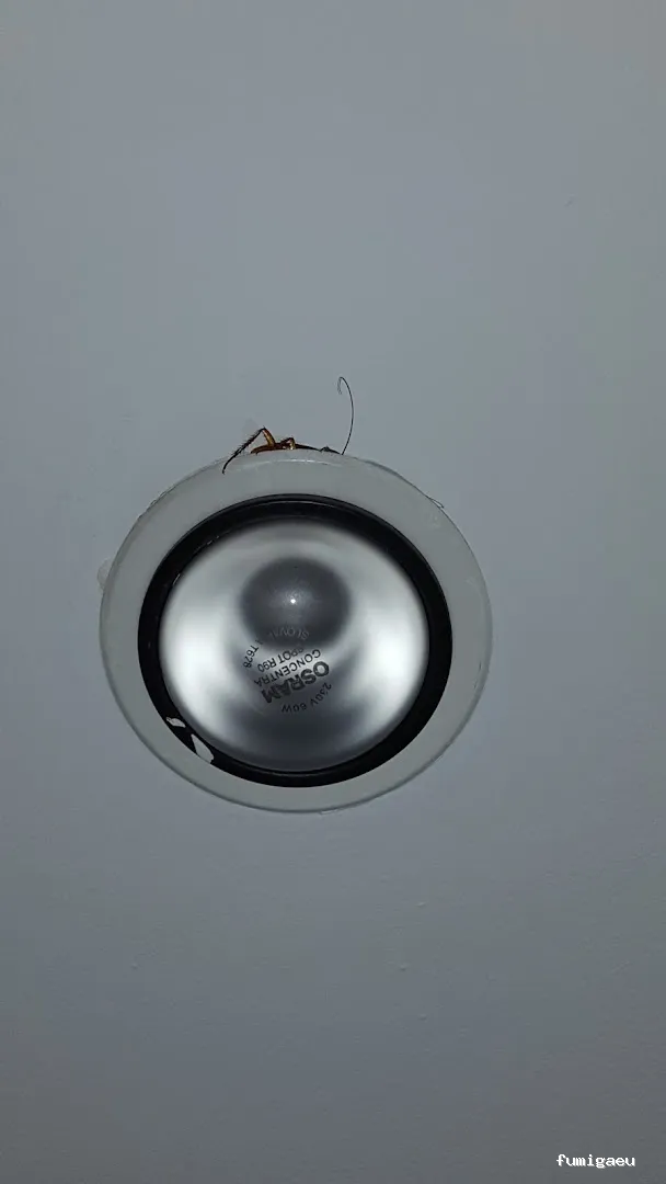 Bichos Control De Plagas