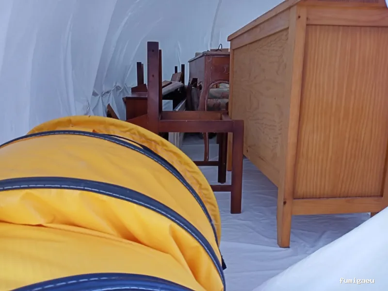 PLAGOO Gestión y Control de plagas