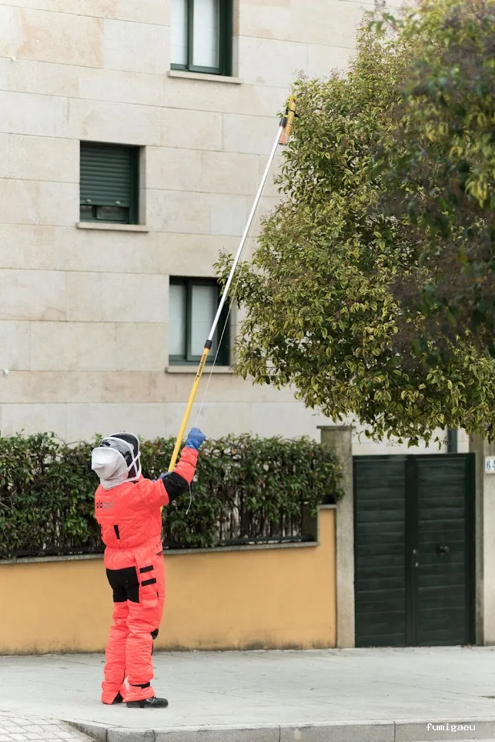 PLAGOO Gestión y Control de plagas