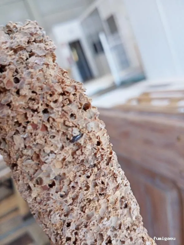 PLAGOO Gestión y Control de plagas